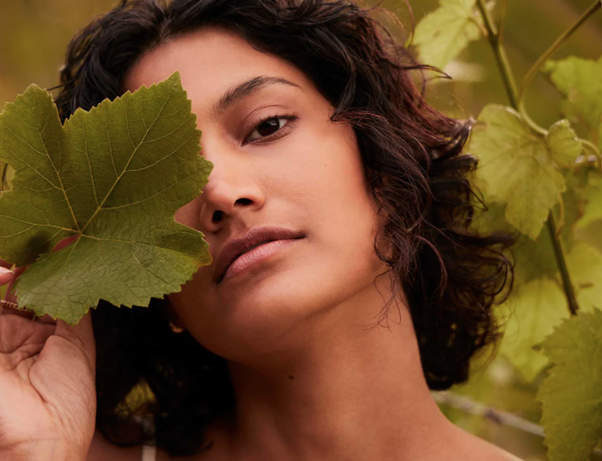 SauvigNZ: What it is, how it works, and which products it’s found in